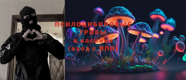 PSILOCYBIN Балахна