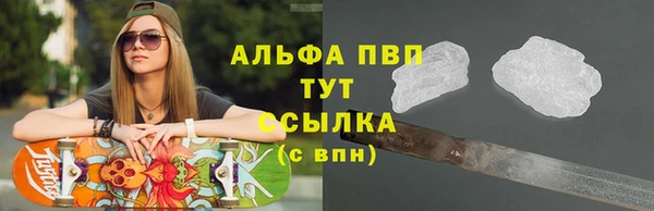 дмт Арсеньев