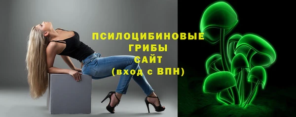 PSILOCYBIN Балахна