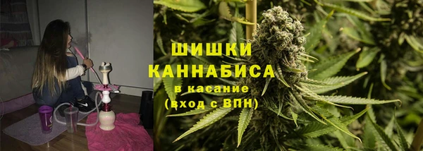 PSILOCYBIN Балахна